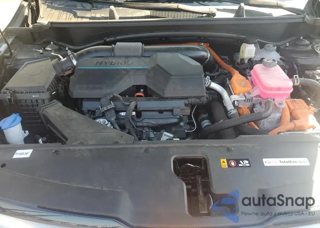 KNDPXCDG2S7186119: 80588705