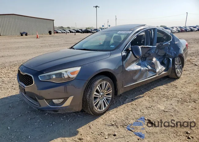 KNALN4D78F5195142: 81314665