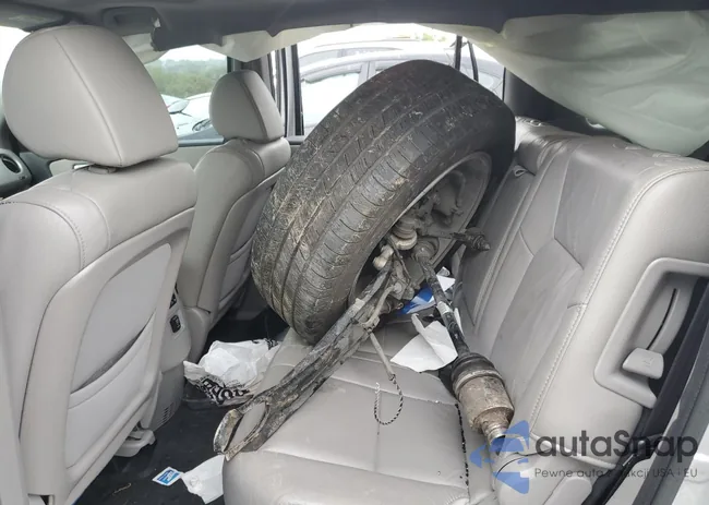 5FNYF4H76FB019639: 81185055