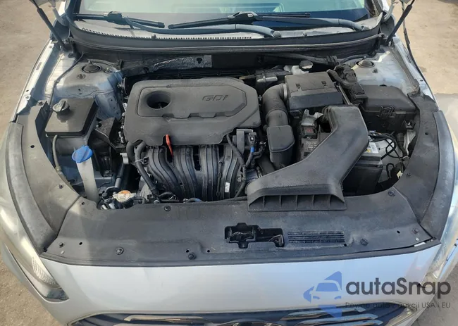 5NPE24AFXKH753437: 81705145