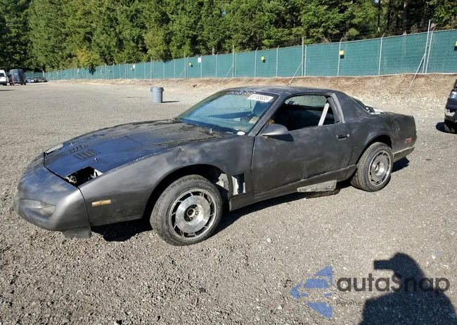 1G2FW23F4ML213109: 81165635