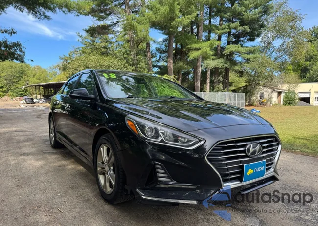 5NPE34AF9JH607641: 80222685