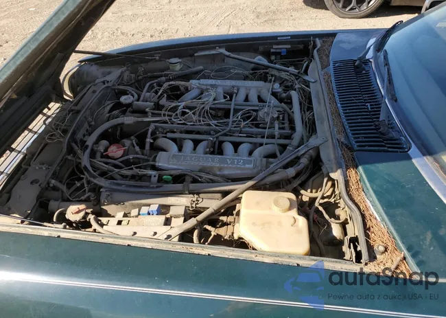 SAJNW5844NC181846: 81763335