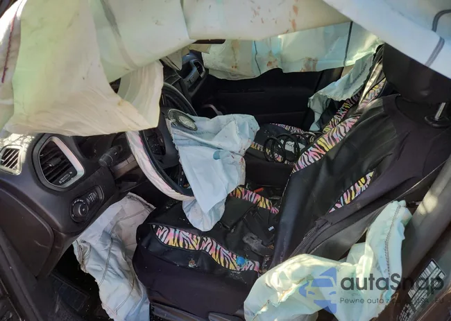 ZACNJDBB8MPM64739: 84270675