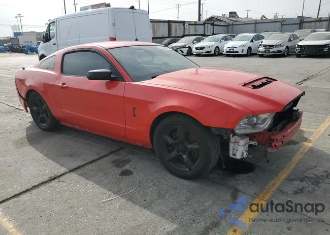 1ZVBP8JS2C5201325: 80755565