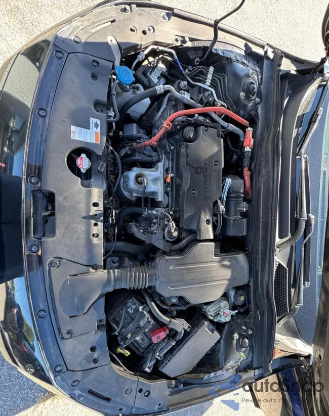 1HGCV3F93NA031042: 84067355