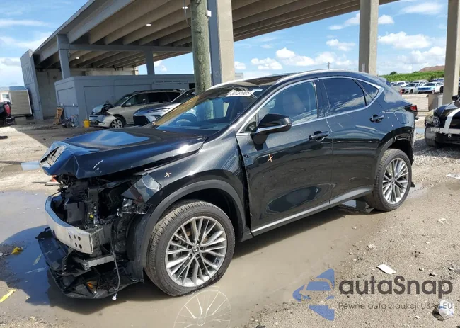 JTJGKCEZ4S5036293: 80731405