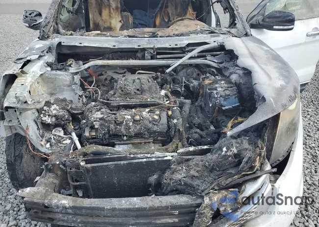 1FM5K7D8XFGA45709: 71456105