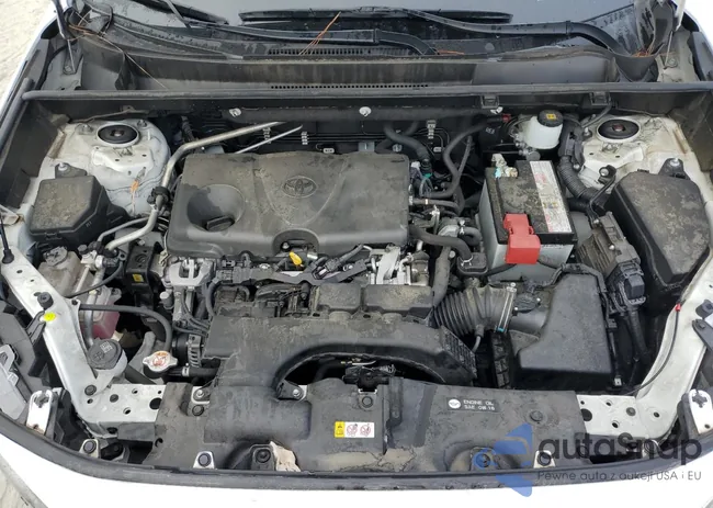 JTMC1RFV6KJ004486: 78582814