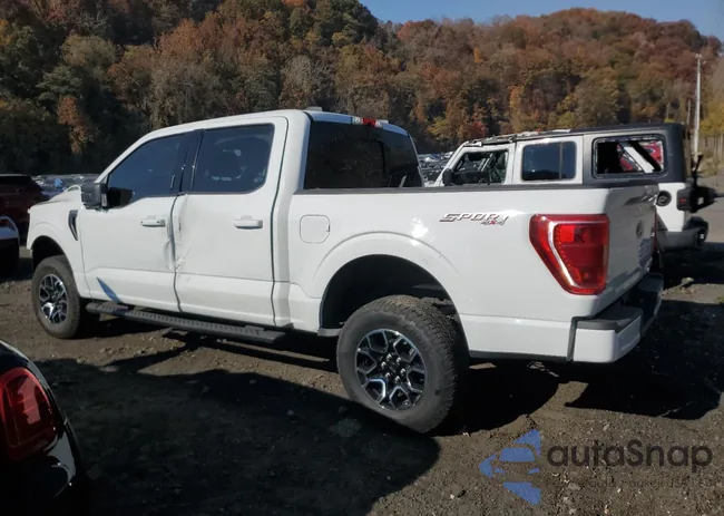 1FTEW1EP4MFD04791: 77840384