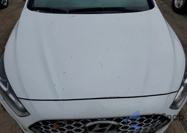 5NPE34AFXKH766377: 87770565