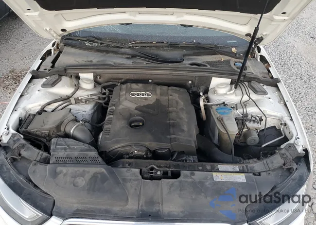 WAUBFAFL9FN008217: 56243845