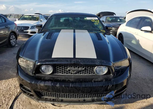 1ZVBP8FF8E5245909: 77020404