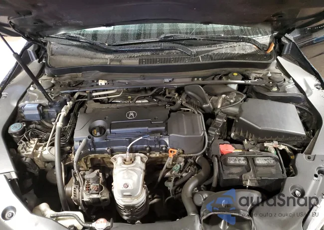 19UUB1F31FA016313: 86432625