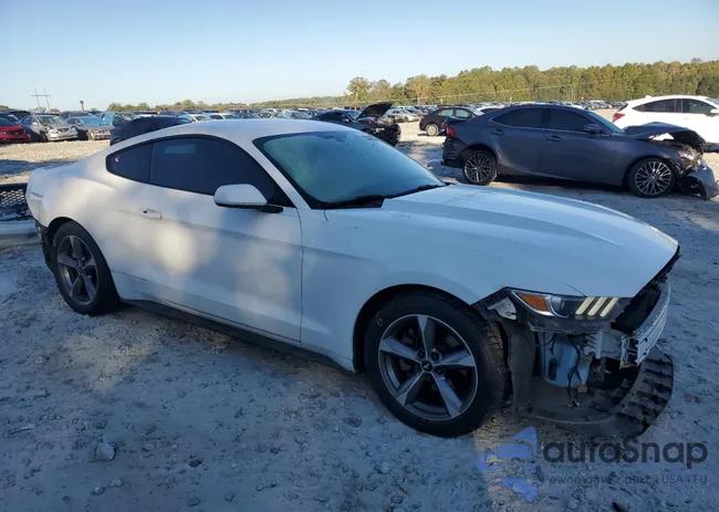 1FA6P8AM4G5250897: 82430305