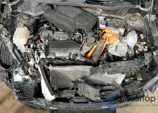 KNDCP3LE3R5184495: 89663365