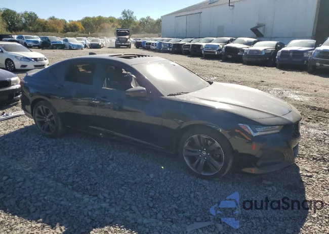 19UUB5F59MA012600: 86783935