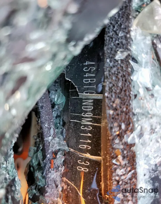 4S4BTGND9M3116138: 85196725