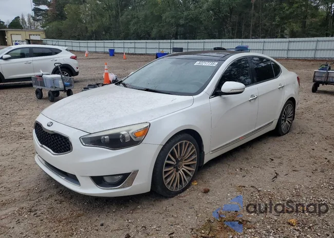 KNALN4D7XF5191982: 82217735