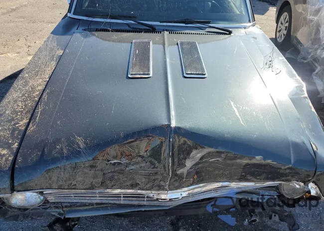 114271W233495: 86836485