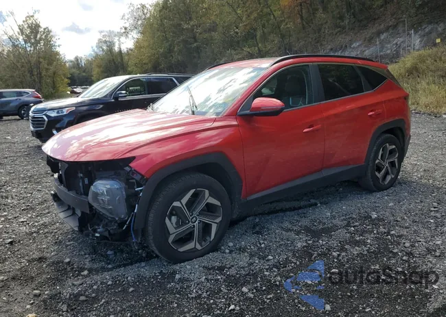 5NMJCCAE4NH119765: 85766145