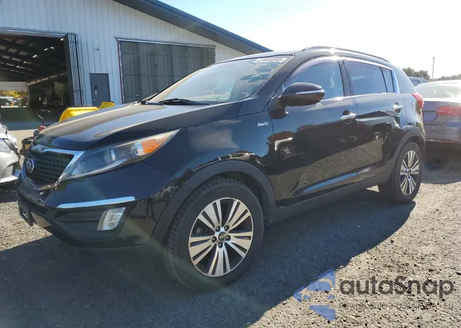 KNDPCCAC1E7659039: 87054095