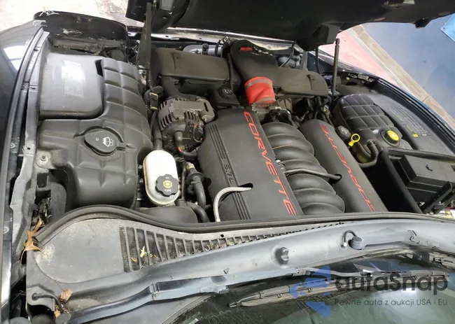 1G1YY22G645133638: 87247835