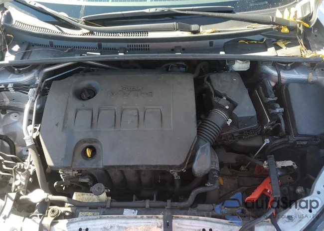 5YFBURHE8KP874946: 85205075