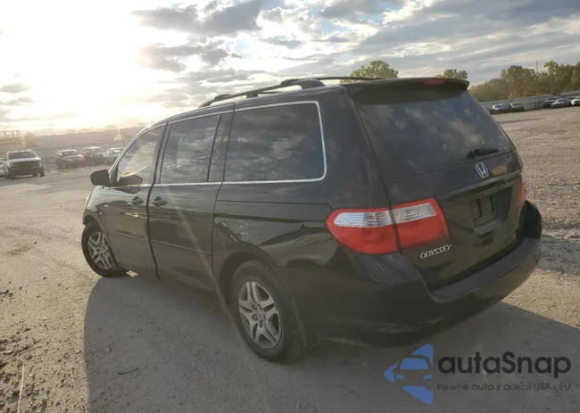 5FNRL38696B022551: 85864555