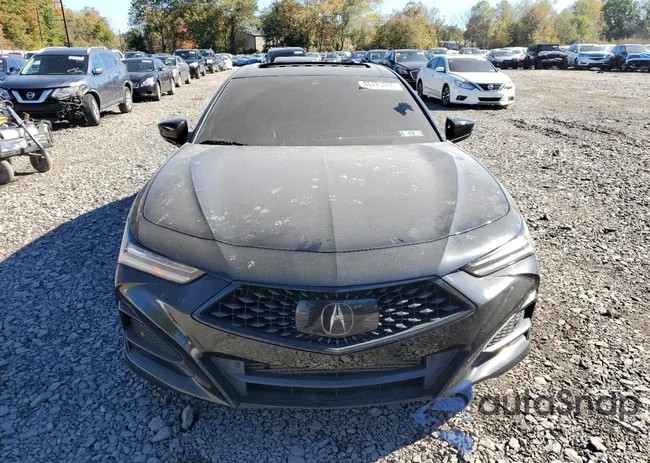 19UUB5F59MA012600: 86783935