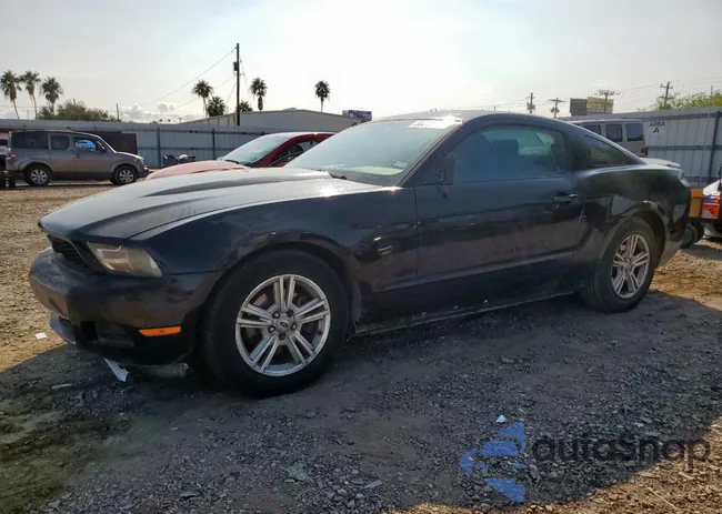 1ZVBP8AM1C5256463: 85275295