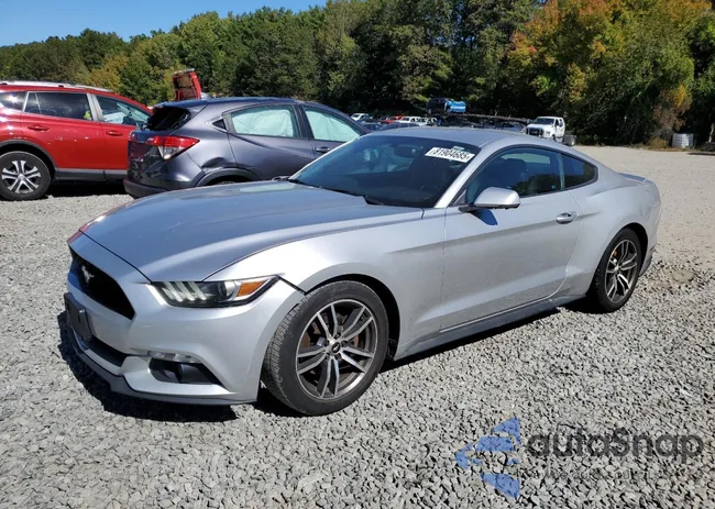 1FA6P8TH9G5304954: 81904685