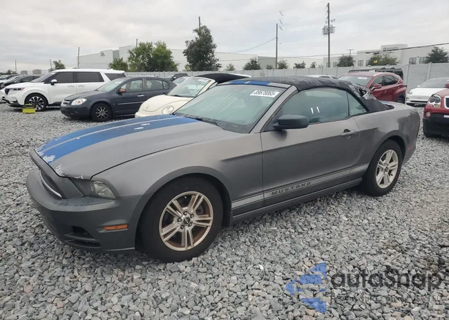 1ZVBP8EM9E5262430: 89678065