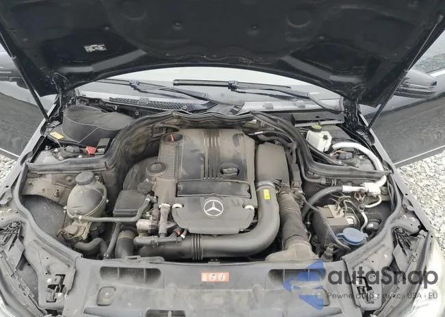 WDDGF4HB0DR262747: 82249645