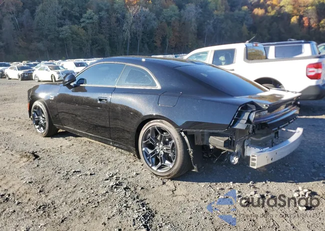 2C3CDBCK9SR543354: 90431535