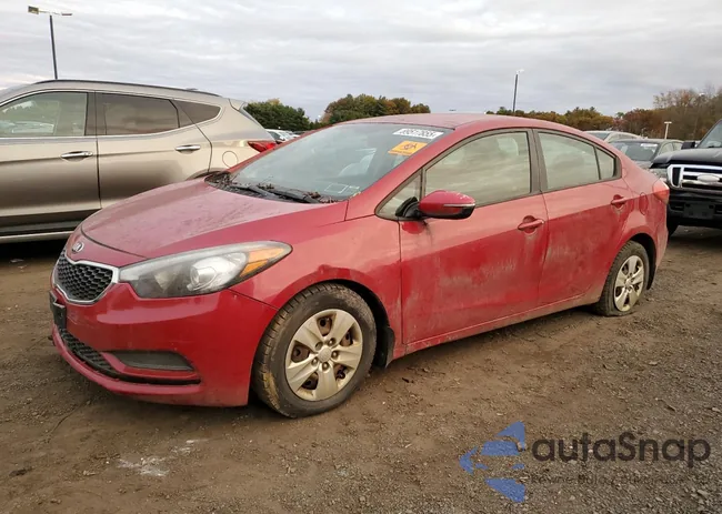 KNAFX4A62F5331994: 89517855