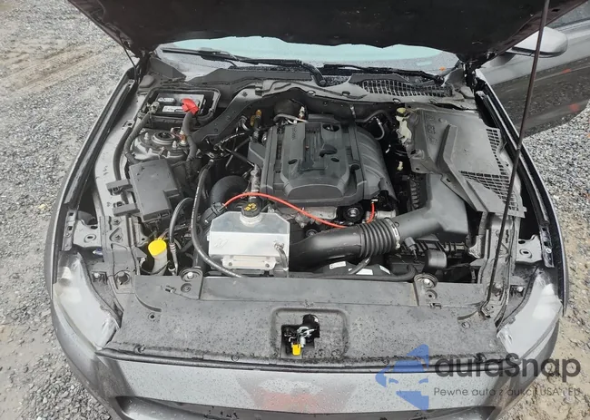 1FA6P8TH7F5429921: 90133005