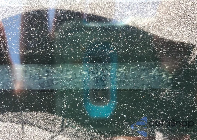 2T1BU4EE6AC494574: 81969335