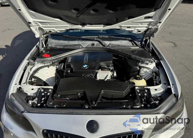 WBA1F9C56GV545208: 89928645