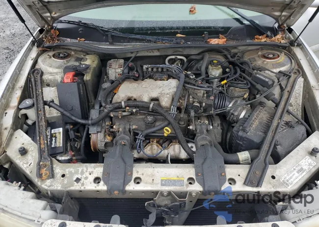 2G4WS52J421298918: 85207065