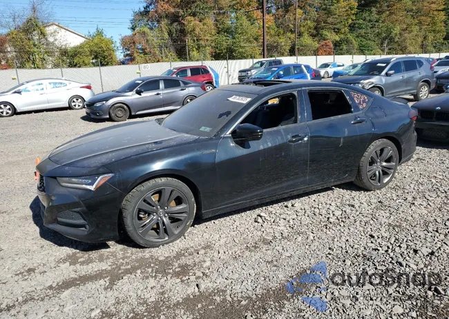 19UUB5F59MA012600: 86783935