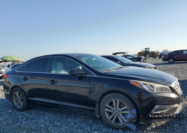 5NPE24AF8FH215552: 89502515