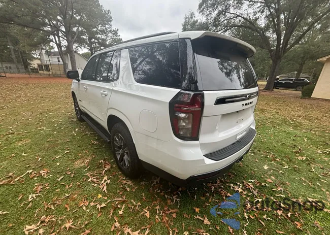 1GNSKPKD2RR114061: 91195225