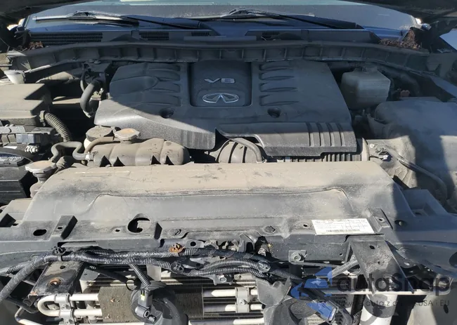 JN8AZ2AE4M9268183: 81871575