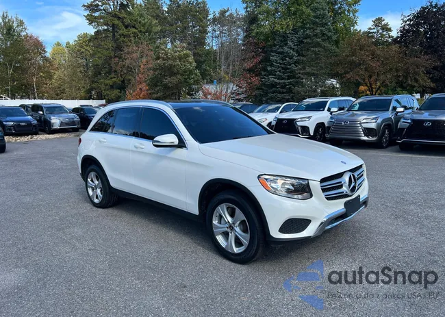 WDC0G4JB4HF261802: 85904705