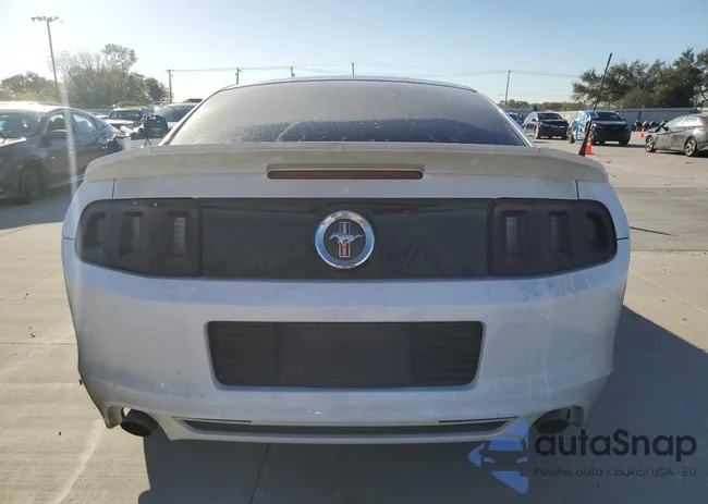 1ZVBP8AMXE5278125: 89555615