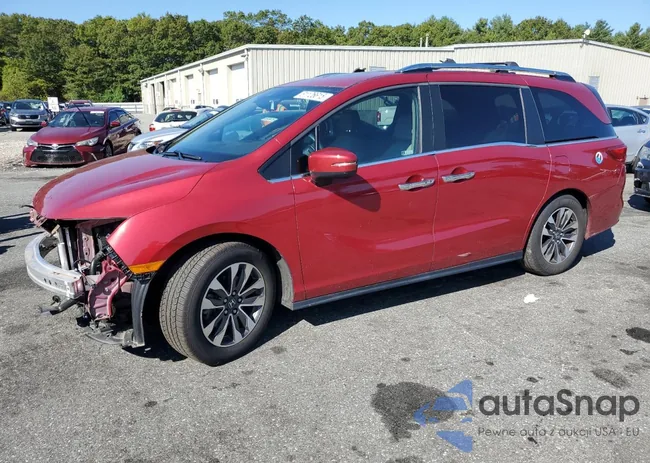 5FNRL6H7XNB034622: 81126615