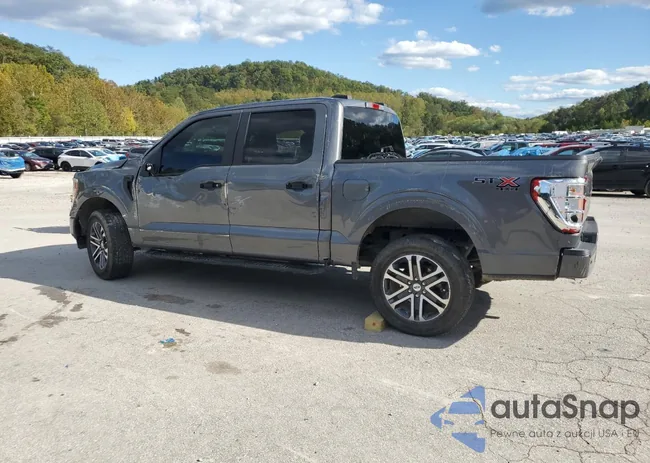 1FTFW1E5XPFB19619: 81241505