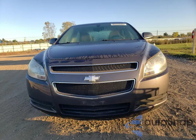 1G1ZA5E05AF216069: 85259505