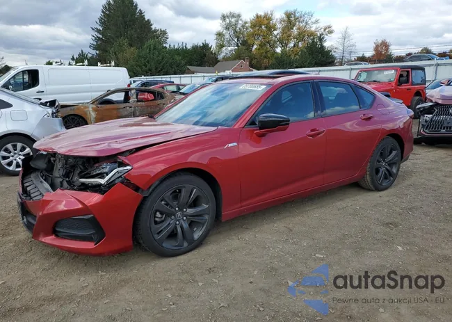 19UUB6F52MA003906: 89700685